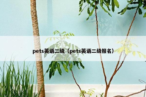 pets英语二级（pets英语二级报名）