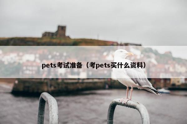 pets考试准备（考pets买什么资料）