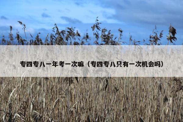 专四专八一年考一次嘛（专四专八只有一次机会吗）