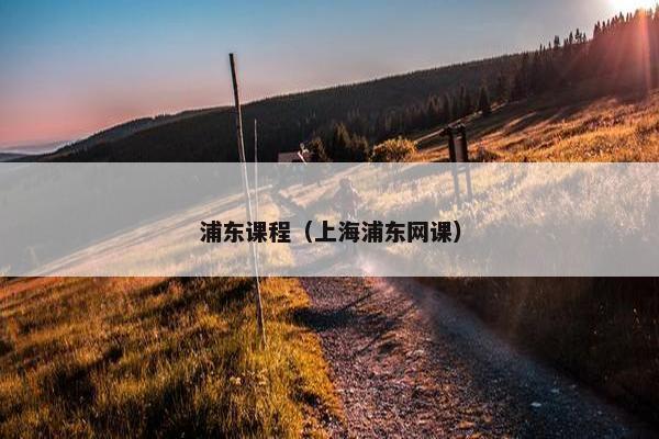 浦东课程（上海浦东网课）