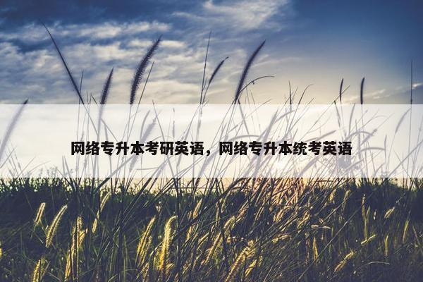 网络专升本考研英语，网络专升本统考英语