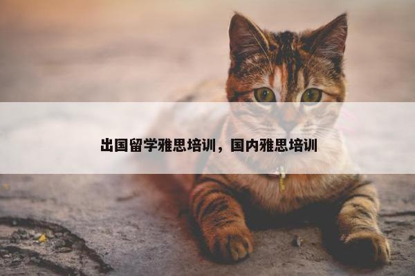 出国留学雅思培训，国内雅思培训