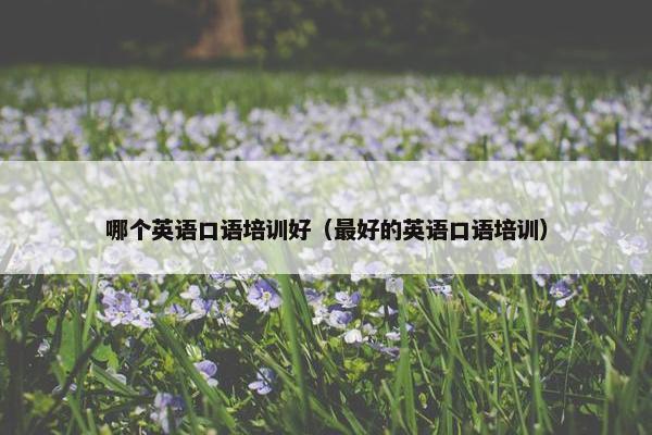 哪个英语口语培训好（最好的英语口语培训）