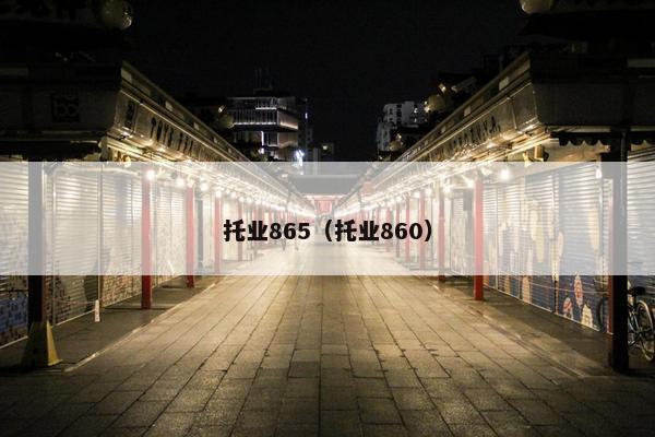 托业865（托业860）