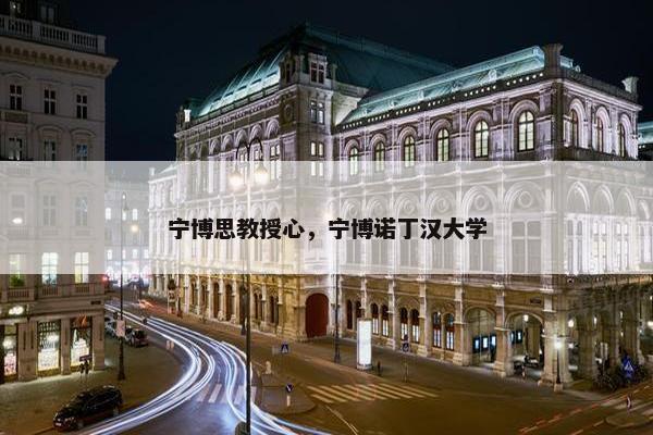 宁博思教授心，宁博诺丁汉大学