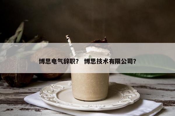 博思电气辞职？ 博思技术有限公司？