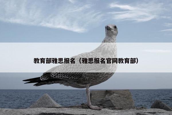 教育部雅思报名（雅思报名官网教育部）