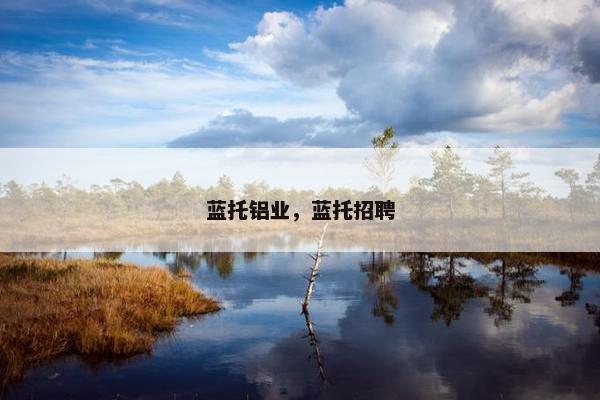 蓝托铝业，蓝托招聘