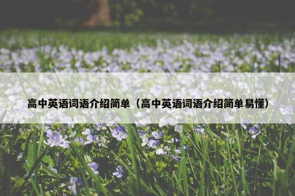 高中英语词语介绍简单（高中英语词语介绍简单易懂）