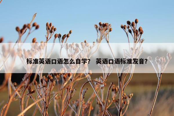 标准英语口语怎么自学？ 英语口语标准发音？