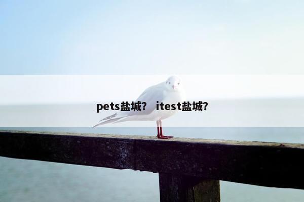 pets盐城？ itest盐城？