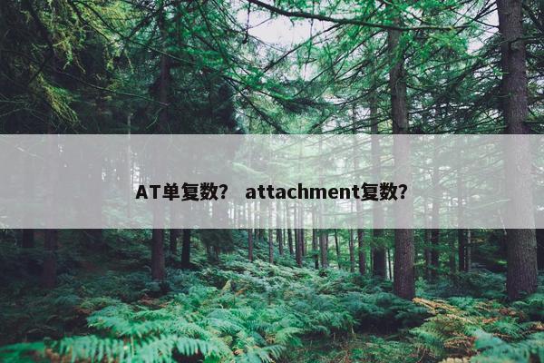 AT单复数？ attachment复数？