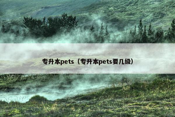 专升本pets（专升本pets要几级）
