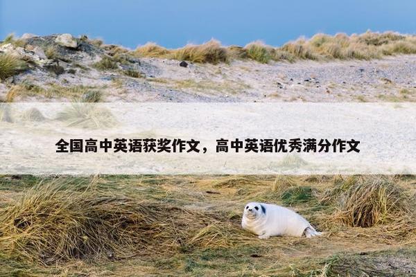 全国高中英语获奖作文，高中英语优秀满分作文