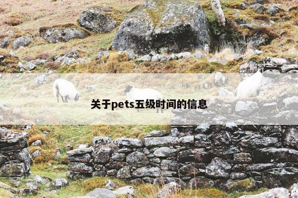关于pets五级时间的信息