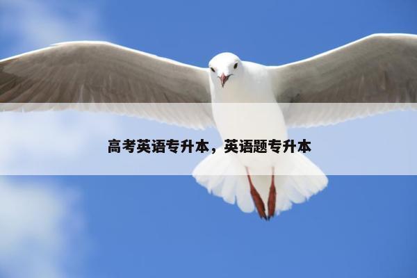 高考英语专升本，英语题专升本