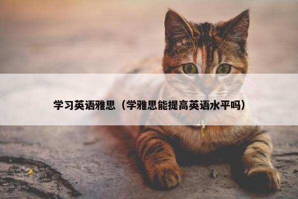 学习英语雅思（学雅思能提高英语水平吗）