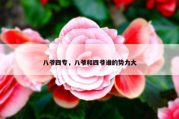 八爷四专，八爷和四爷谁的势力大