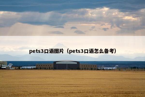 pets3口语图片（pets3口语怎么备考）