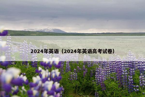 2024年英语（2024年英语高考试卷）