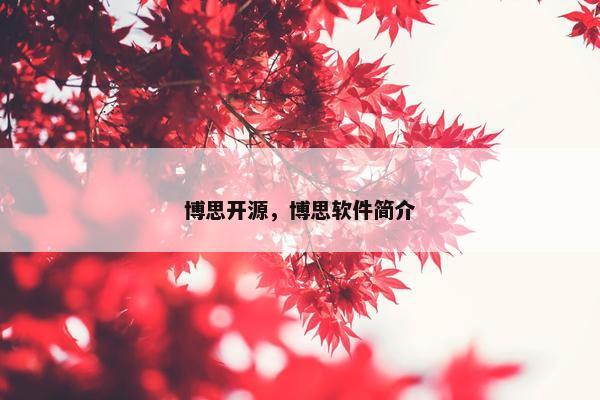 博思开源，博思软件简介