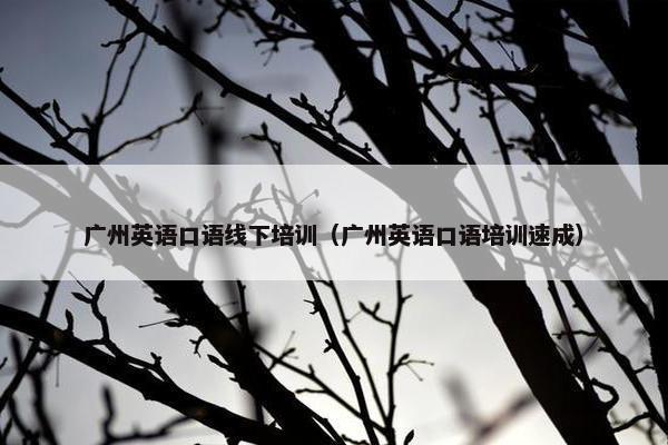 广州英语口语线下培训（广州英语口语培训速成）