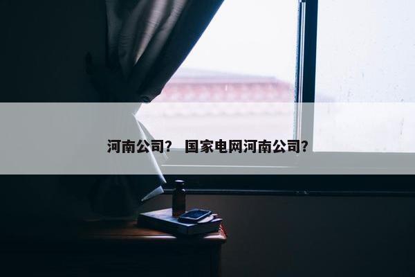河南公司？ 国家电网河南公司？