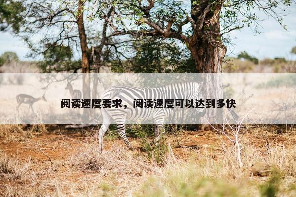 阅读速度要求，阅读速度可以达到多快