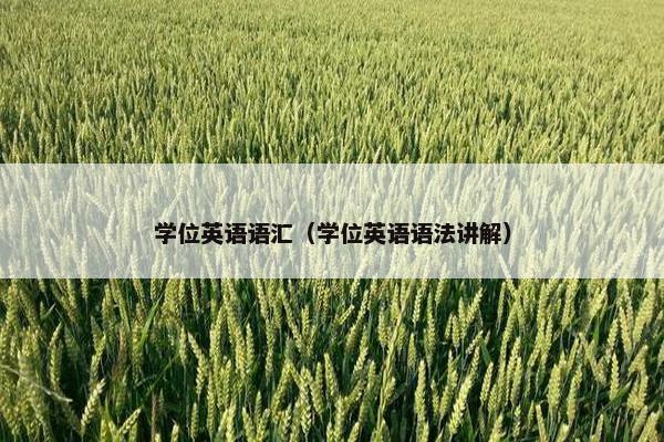学位英语语汇（学位英语语法讲解）