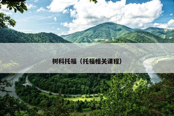 树科托福（托福相关课程）