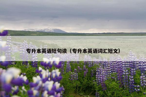 专升本英语短句读（专升本英语词汇短文）