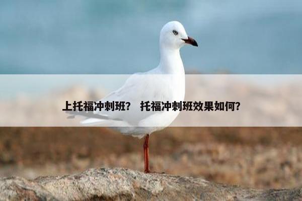 上托福冲刺班？ 托福冲刺班效果如何？
