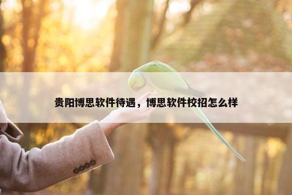 贵阳博思软件待遇,博思软件校招怎么样 贵阳博思软件待遇,博思软件校招怎么样