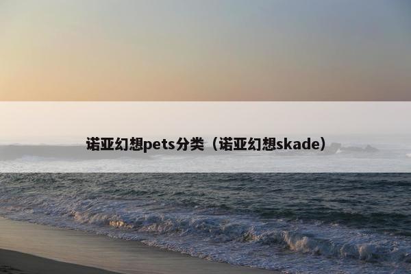 诺亚幻想pets分类（诺亚幻想skade）