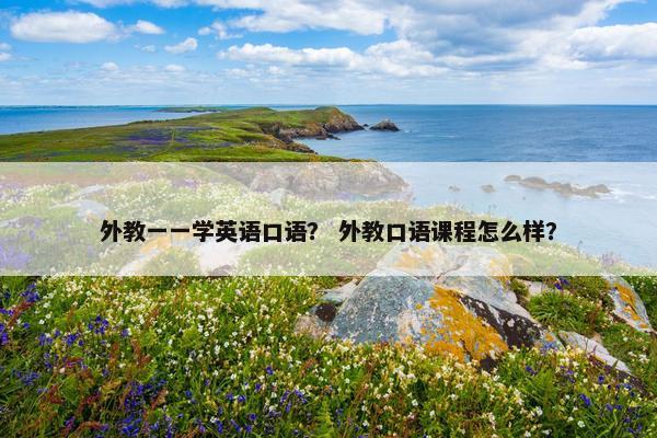 外教一一学英语口语？ 外教口语课程怎么样？