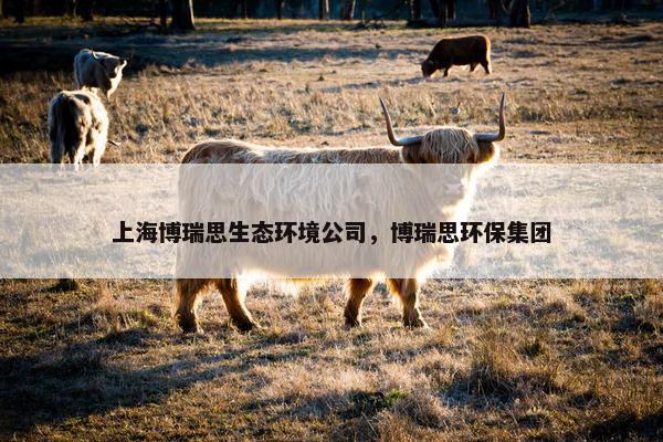 上海博瑞思生态环境公司，博瑞思环保集团
