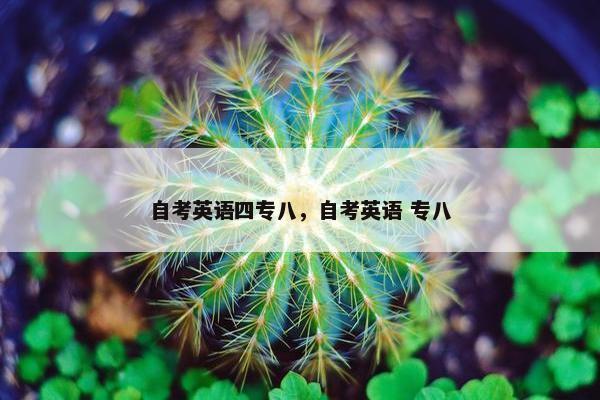 自考英语四专八，自考英语 专八