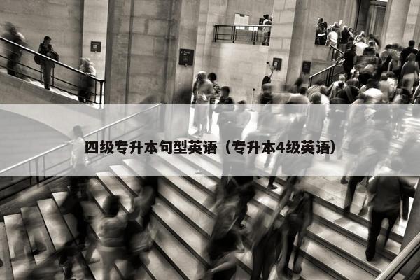 四级专升本句型英语（专升本4级英语）