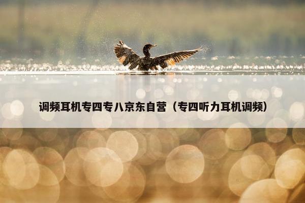 调频耳机专四专八京东自营（专四听力耳机调频）