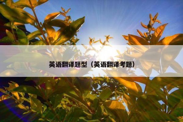 英语翻译题型（英语翻译考题）