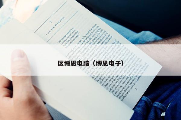 区博思电脑（博思电子）