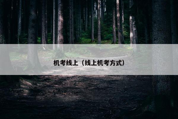 机考线上（线上机考方式）