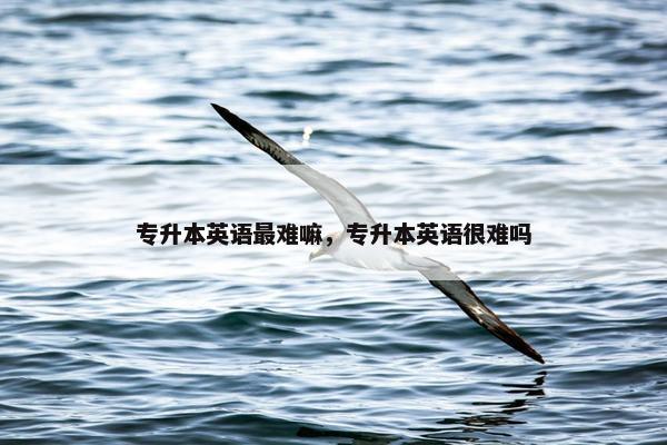 专升本英语最难嘛，专升本英语很难吗