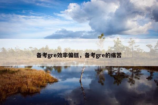 备考gre效率偏低，备考gre的痛苦