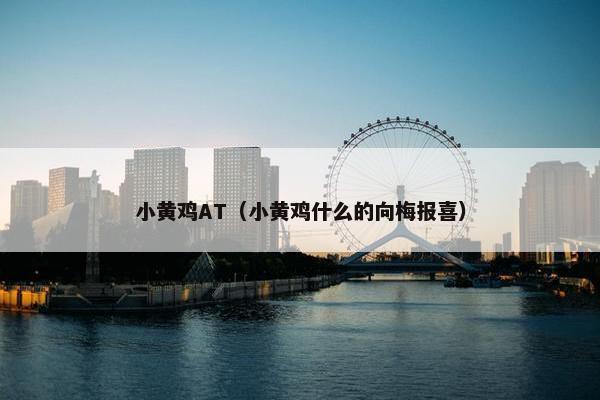 小黄鸡AT（小黄鸡什么的向梅报喜）
