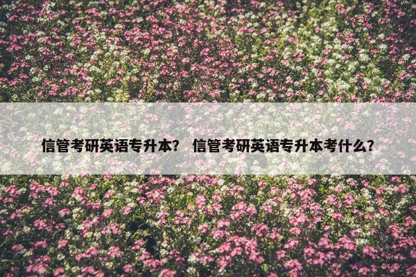 信管考研英语专升本？ 信管考研英语专升本考什么？