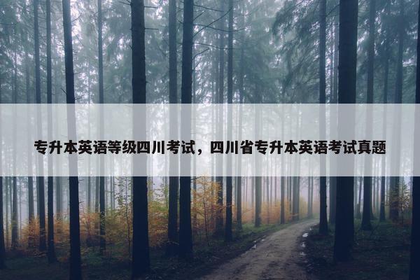 专升本英语等级四川考试，四川省专升本英语考试真题