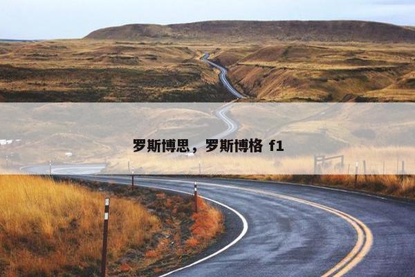 罗斯博思，罗斯博格 f1