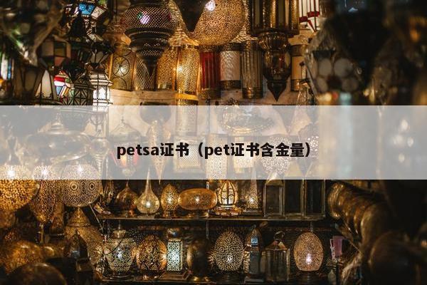 petsa证书（pet证书含金量）