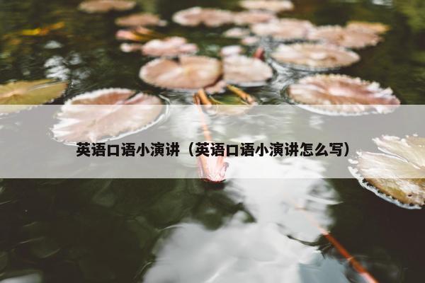 英语口语小演讲（英语口语小演讲怎么写）